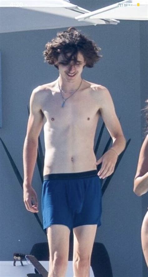 timothee chalamet naked porn|TIMOTHEE CHALAMET Nude